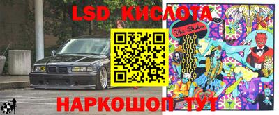 бошки Сланцы