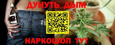 сатива Севастополь