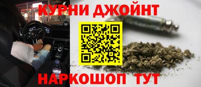 сатива Севастополь