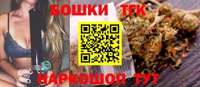 спиды Славгород