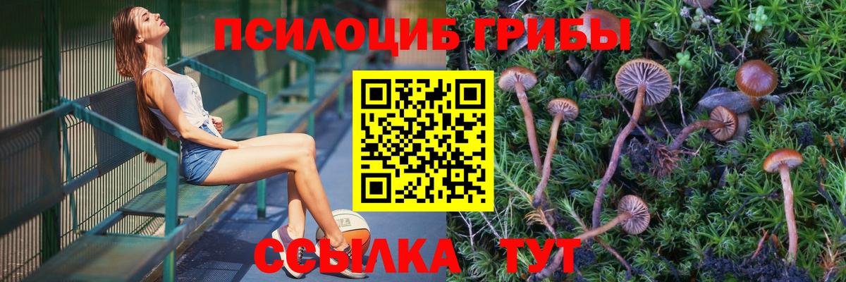 Галлюциногенные грибы Magic Shrooms  Вход с VPN  Оренбург 