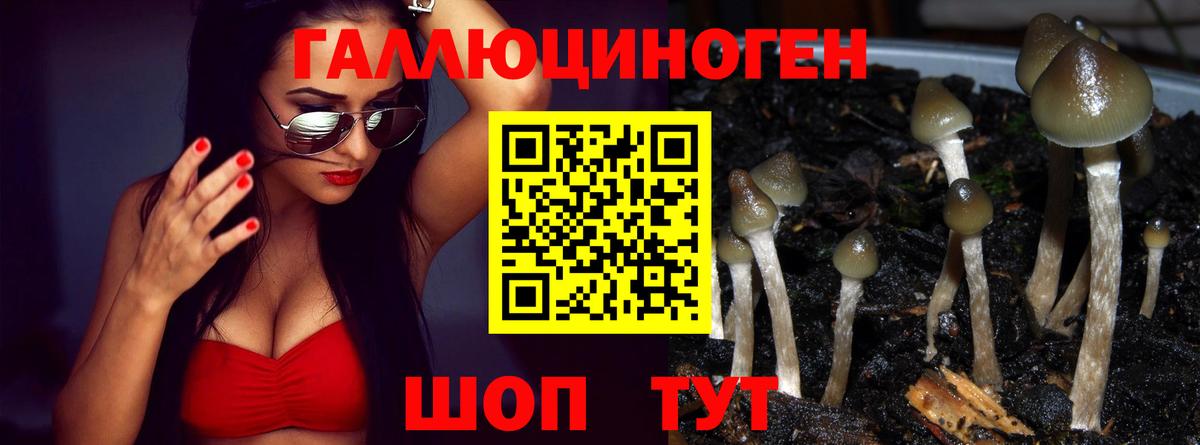 Галлюциногенные грибы GOLDEN TEACHER Оренбург
